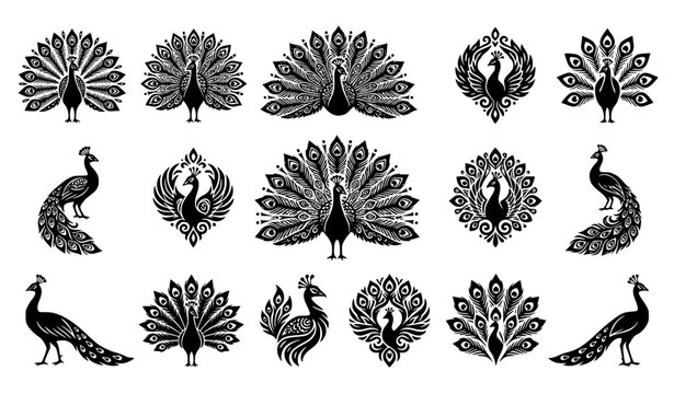 Mehndi Peacock Monochrome Vector Set