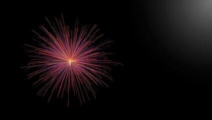Fototapeta premium Colorful Firework Explosion Against a Black Background with Radiating Sparks