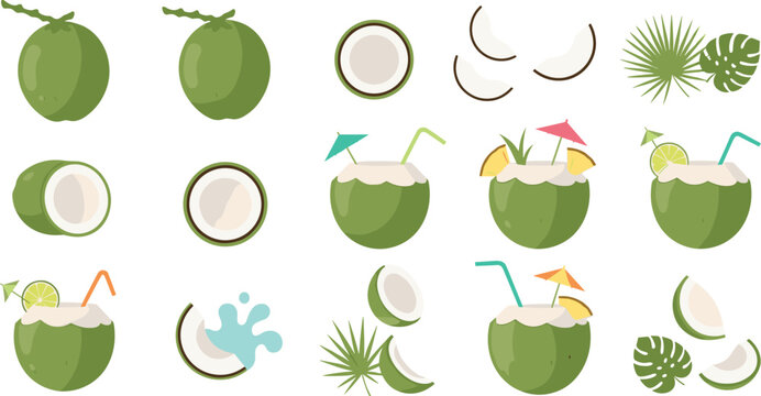 Fresh green coconut water and summer cocktail vector icon set with tropical monstera leaves and straws