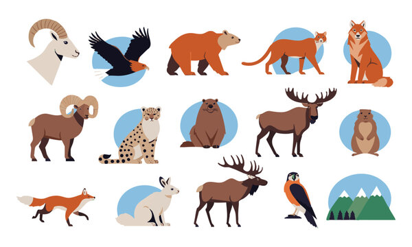 Wild Mountain Animal Collection.