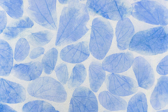 Blue leaves pattern on paper background, closeup natural leaves texture background