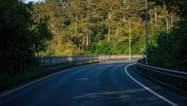 Curvy Road Surrounded by Lush Green Forest - Sunny Day, Wide Shot