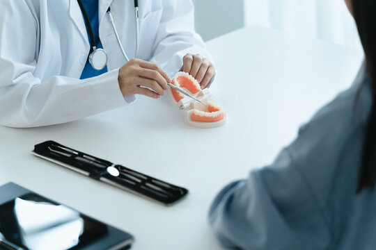 Dentist holding tooth model White healthy tooth, Doctor doing dental treatment&nbsp;