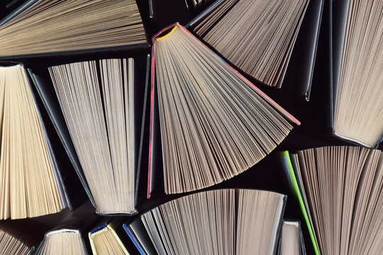 Lots of books. Educational theme. Learning concept
