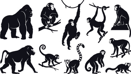 Monkey and ape silhouettes, gorilla, chimpanzee, orangutan, baboon, lemur, and marmoset, wild primate collection, jungle animals, wildlife nature illustration, primates. © MstSumi