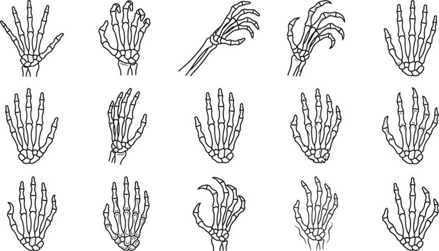 A detailed halloween vector bundle featuring a collection of spooky hand drawn monster claws and skeleton hands for scary holiday design projects