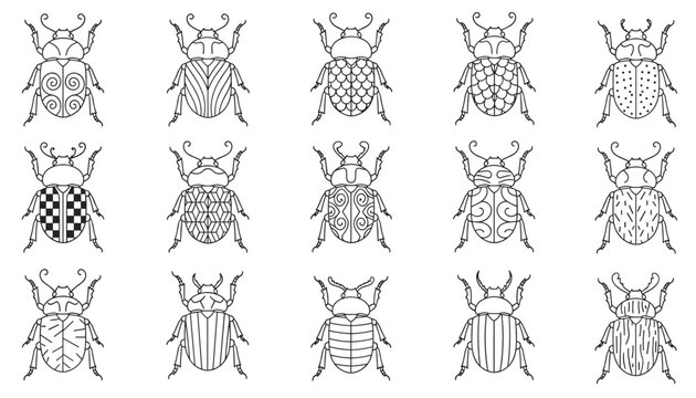Detailed insect collection featuring fifteen unique beetle illustrations decorated with diverse geometric shell patterns.