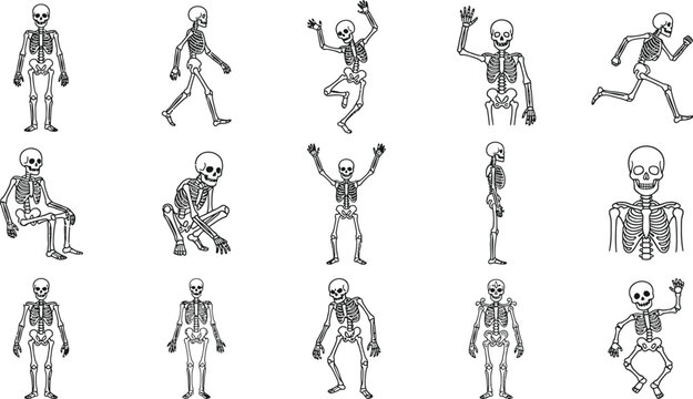 A comprehensive halloween vector bundle featuring various hand drawn skeleton characters in different poses perfect for spooky holiday design projects and creative decorations