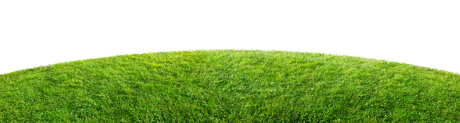 Fototapeta na wymiar green grass field isolated on transparent background, png