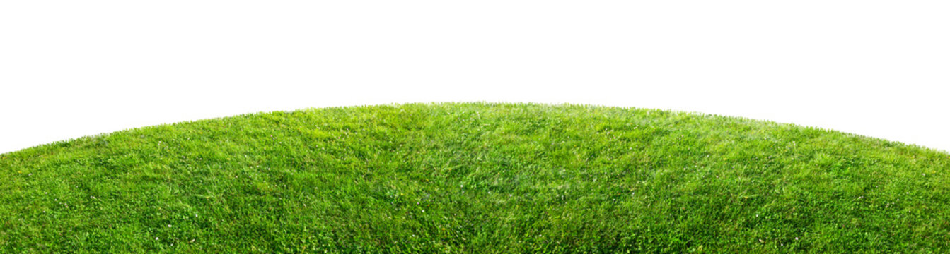 green grass field isolated on transparent background, png