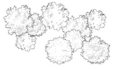 Fototapeta premium Tree grove in plan view for use in architectural drawing