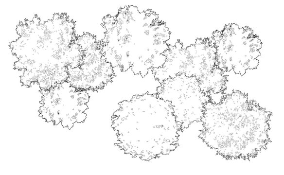 Tree grove in plan view for use in architectural drawing