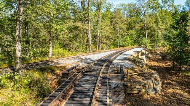 Two sets of train tracks curve through a wooded area. Sunlight filters through the trees. The scene shows gravel beside the tracks. The landscape appears green and lively.
