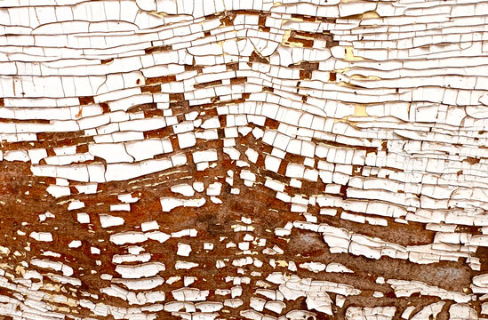 White cracked Paint Surface with peeling fragments and exposed brown base. Abstract distressed grunge Texture Background with broken layers, rough damaged detail and closeup view.