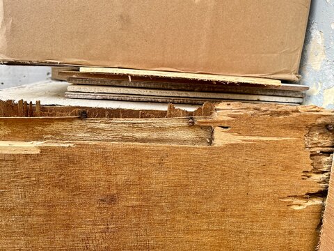 Close up view of heavily damaged layered plywood plank showing broken splintered edge and exposed wood fiber texture