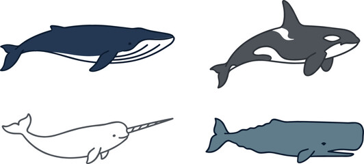 Minimalist ocean whale vector icon set featuring blue whale killer whale orca narwhal and sperm whale for marine wildlife education graphic designs © AdhinChandra