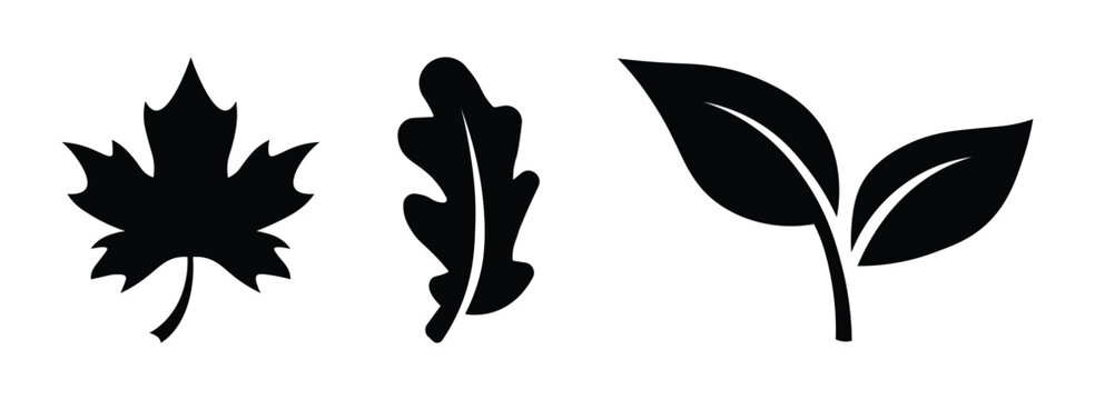 Leaf silhouette icons set. Collection of three botanical leaf silhouettes featuring a maple leaf, oak leaf, and elegant two-leaf sprout in bold black designs.