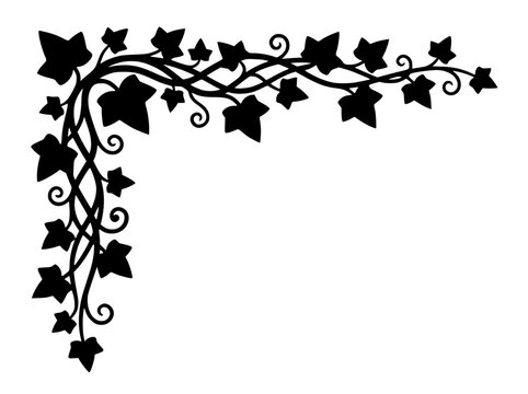 Ivy leaves corner border silhouette decorative vine frame element