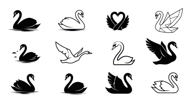 Black and white swan vector icons set, elegant bird silhouettes and geometric designs for logos