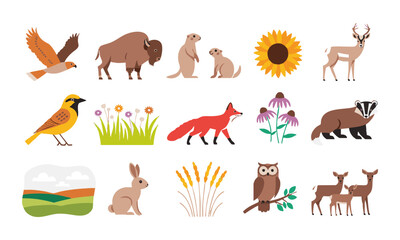 Naklejka premium Wild Animal and Bird Nature Collection.