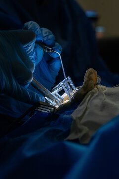 Detalhes cirurgia 
