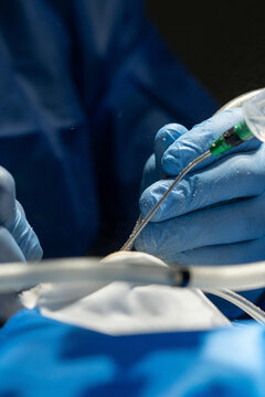 Detalhes cirurgia 