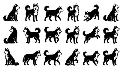 Siberian Husky Dog Silhouette Set with Running, Sitting, Standing, and Playful Poses for Commercial Wildlife and Pet Vector Graphics © sobuj