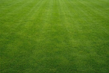 Lush Green Grass Field in Even Stripes Under Soft Light © NFTNexus