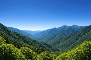 Fototapeta premium Lush Green Mountain Valley Under Clear Blue Sky in Daylight