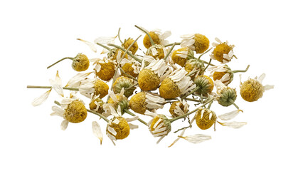 Dried chamomile flowers isolated on transparent background heap of herbal tea ingredients natural botanical plant material for wellness health relaxing aromatic drink remedy © ATIQULISLAM