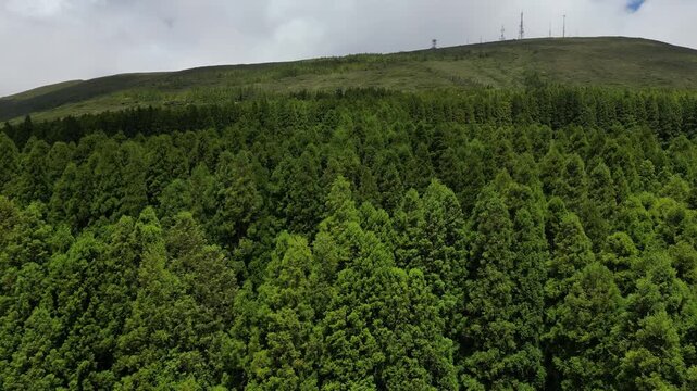 Drone View of Green Landscape on S&atilde;o Miguel Island Azores