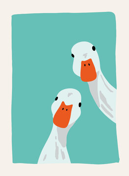 Two Curious Geese Looking Down Illustration