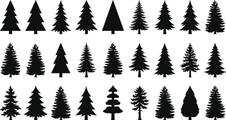 Pine tree silhouette collection, coniferous forest evergreens, fir and spruce icons, winter nature elements, forest timber, christmas trees, cedar plants. © MstSumi