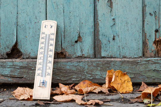 Autumn season, weather forecast, cold rainy day, thermometer with foliage, measure the temperature in fall, climate and environment