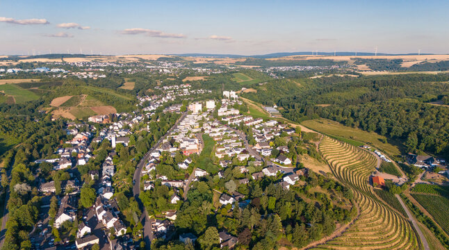 Trier cityscape, vineyards, forest, meadows and agriculture fields, moselle valley, aerial view, summer landscape rhineland palatinate, Germany