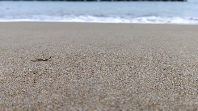 sand on the beach, Sea waves crashing on sandy shore with wave breaker blocks in the background. Hakodate japan