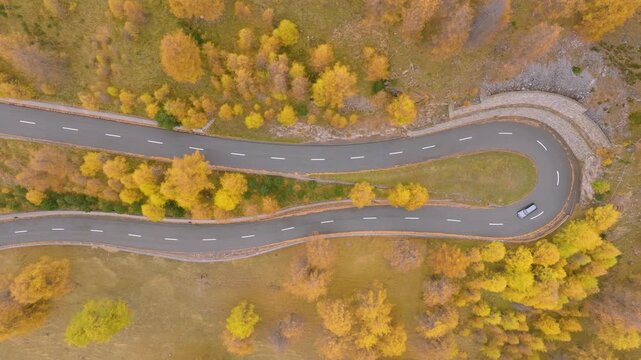 Aerial drone video of a winding asphalt road through a colorful autumn forest. Curved highway route in top view for travel background and transportation concepts.