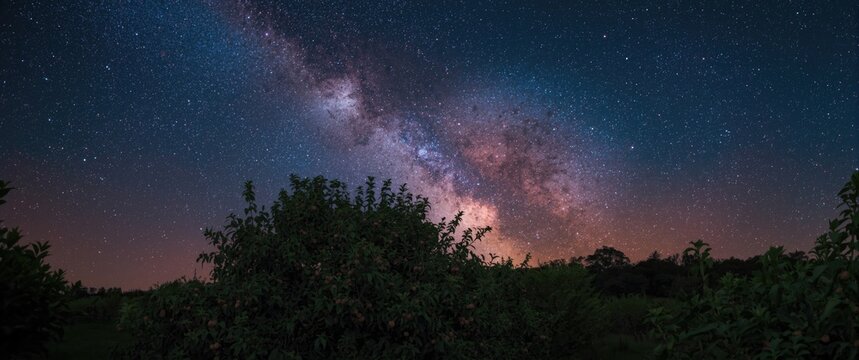 Starry Milky Way Over Orchard - Night Sky Panorama, Tranquil Colors