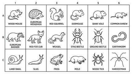 Fototapeta premium Collection of various small forest animals and woodland creatures presented in a simple black and white line art illustration grid for educational and icon design purposes
