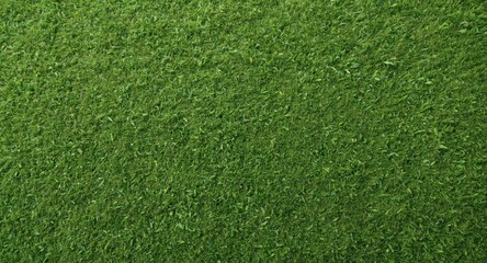 Fototapeta premium Lush Green Grass Texture in Closeup View
