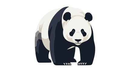 Giant panda bear walking isolated on white © robe