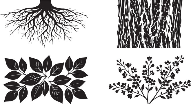 Botanical tree parts vector set featuring root system tree bark texture leaves and floral branches isolated on white background