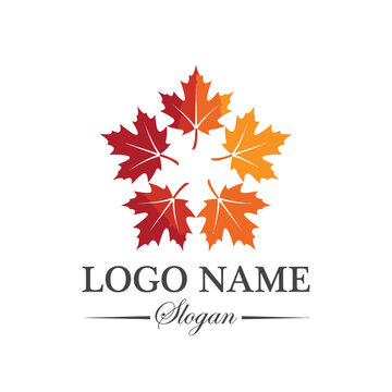 Circle of five autumn maple leaves logo.