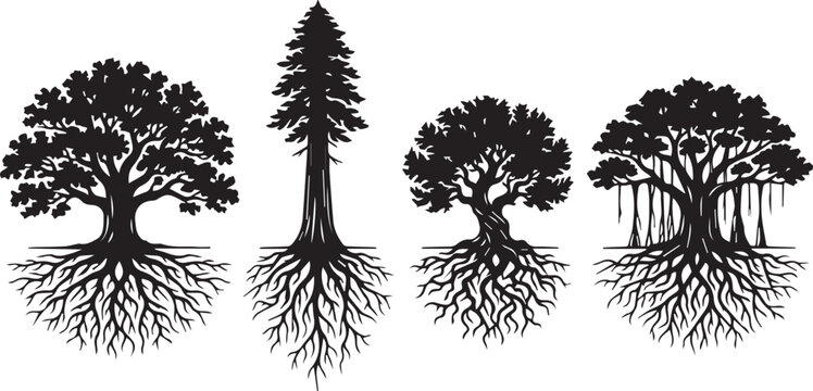 Set of black tree silhouettes with detailed foliage and intricate root systems isolated on a white background