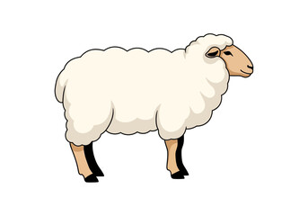 Sheep standing alone white woolly animal. © Afif