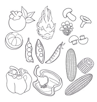vegetables and fruits