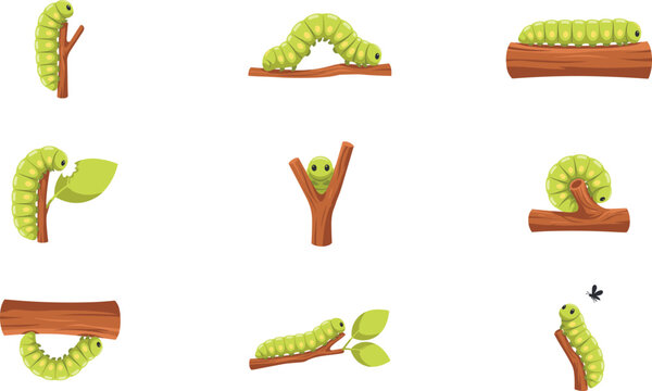 Cute Green Caterpillar Cartoon Character Vector Set Showing Different Poses Crawling Eating and Climbing on Tree Branches for Kids Education Designs