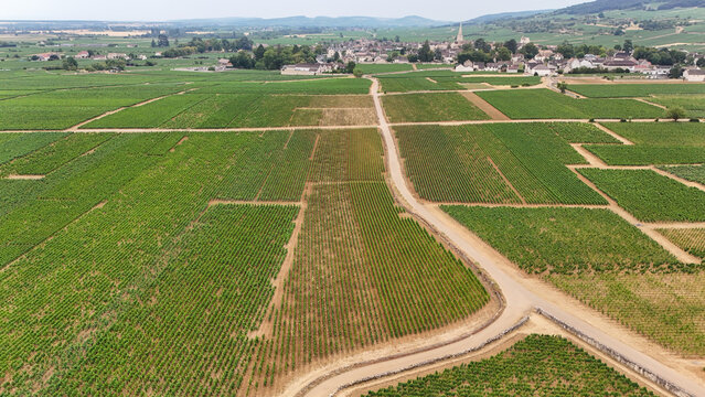 Aerial view of Meursault, Burgundy, France, surrounded by Chardonnay vineyards, agriculture, viticulture, wine production, and cultivated fields.