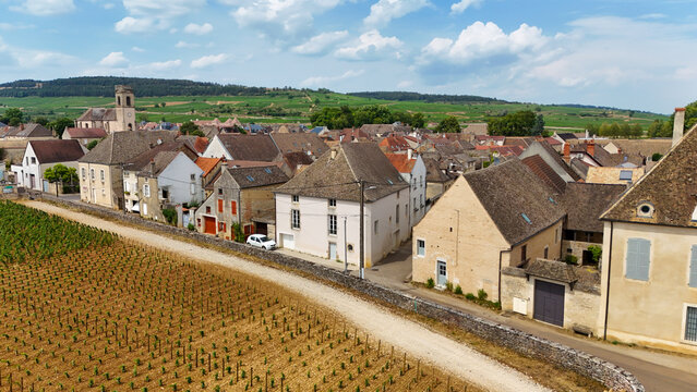 Village of Pommard in Burgundy, France, bordered by Pinot Noir vineyards and showcasing viticulture, wine production, agriculture, and historic architecture.
