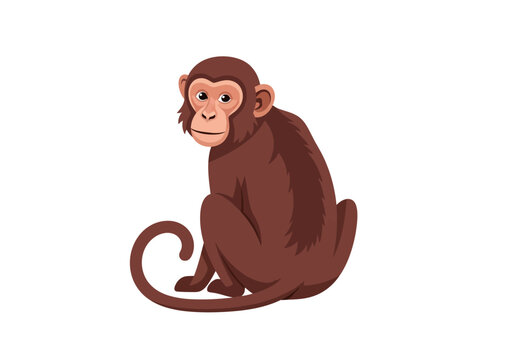 Brown monkey sitting on ground.